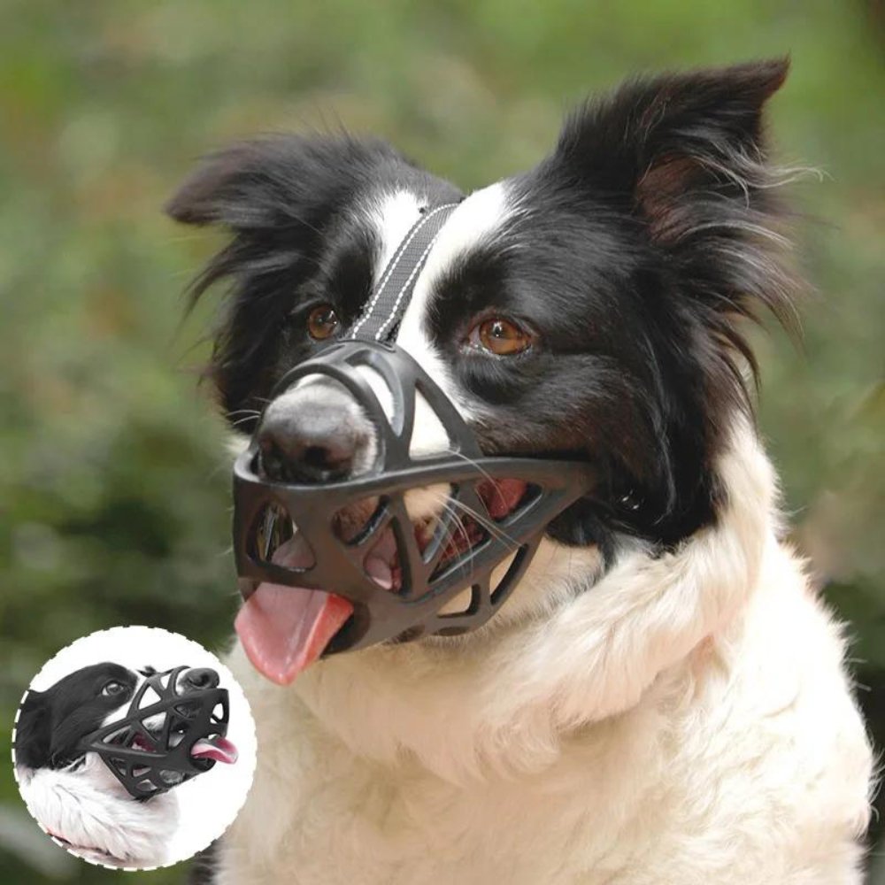 SafeBark Hundebur – Effektiv Anti-Bite og Anti-Bark Løsning, Pustende og Komfortabel | Luvikno