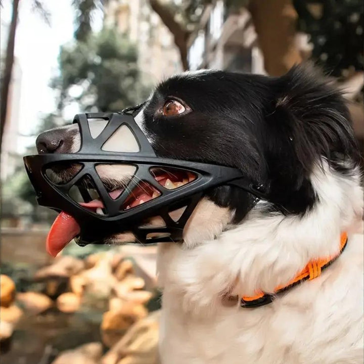 SafeBark Hundebur – Effektiv Anti-Bite og Anti-Bark Løsning, Pustende og Komfortabel | Luvikno