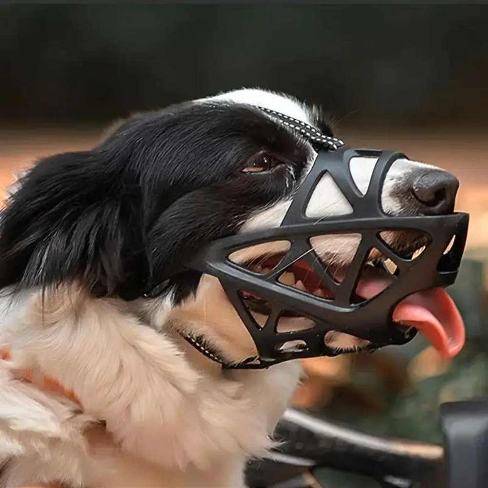 SafeBark Hundebur – Effektiv Anti-Bite og Anti-Bark Løsning, Pustende og Komfortabel | Luvikno