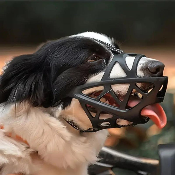 SafeBark Hundebur – Effektiv Anti-Bite og Anti-Bark Løsning, Pustende og Komfortabel | Luvikno
