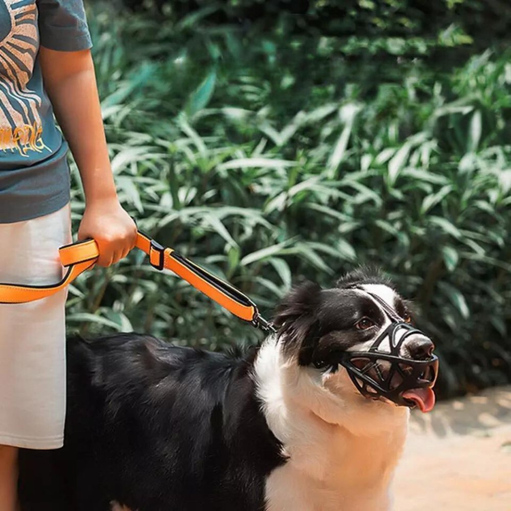 SafeBark Hundebur – Effektiv Anti-Bite og Anti-Bark Løsning, Pustende og Komfortabel | Luvikno