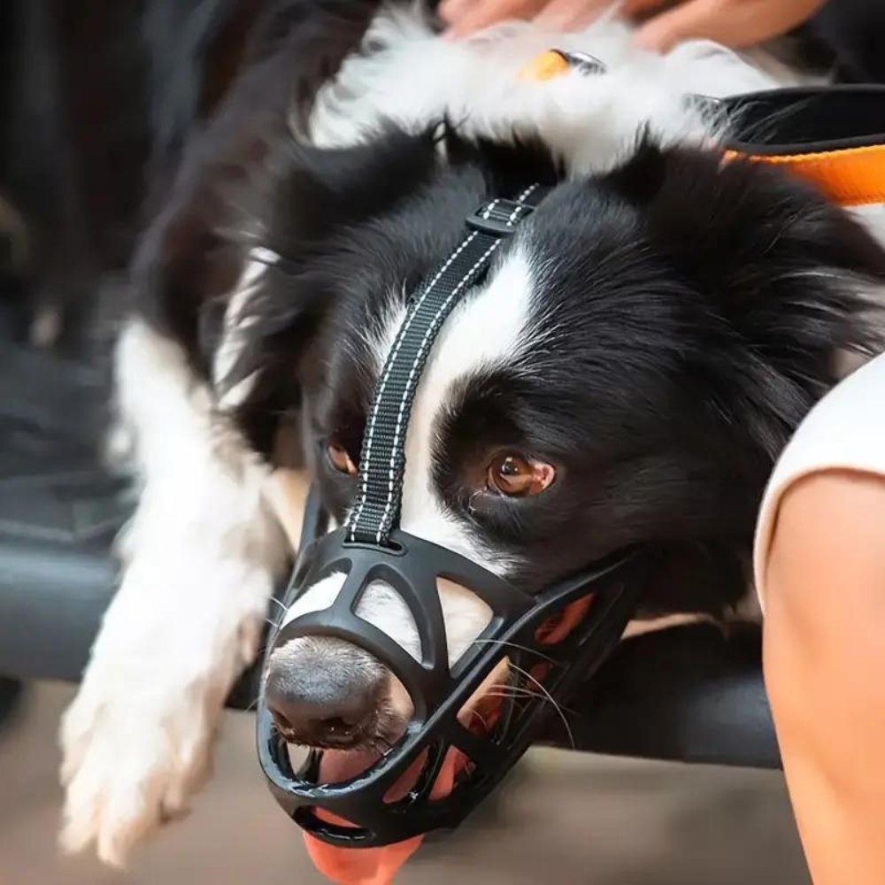 SafeBark Hundebur – Effektiv Anti-Bite og Anti-Bark Løsning, Pustende og Komfortabel | Luvikno