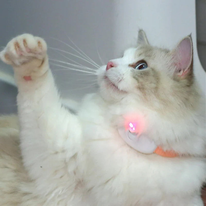 Freesthetic Laser Collar for Cats Luvikno