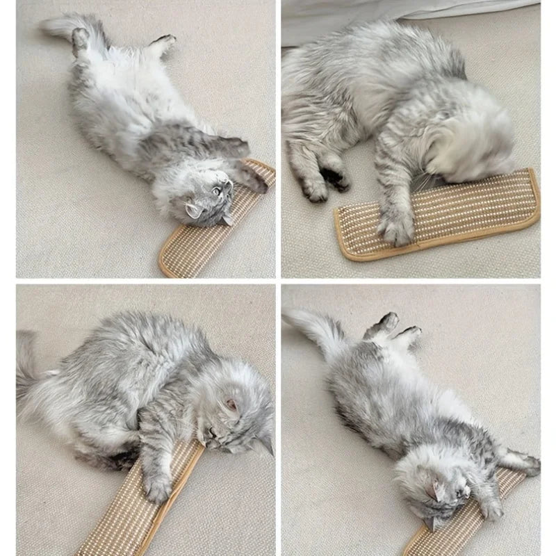Klorepute for katter med kattmynt holdbar og robust Luvikno