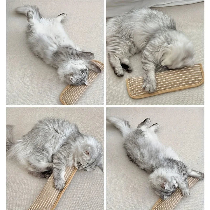 Klorepute for katter med kattmynt holdbar og robust Luvikno
