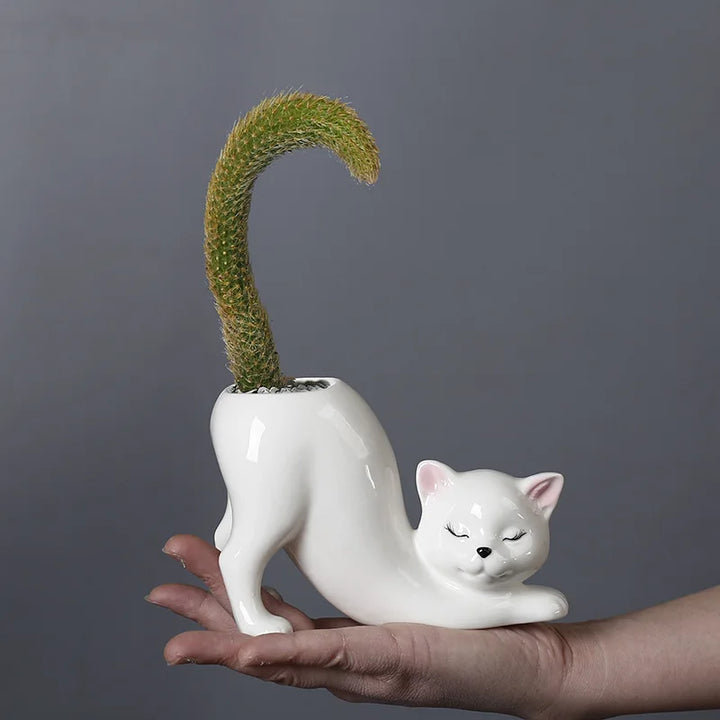 Søt katt blomsterpotte - Glasert porselen saftig planter | Luvikno