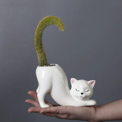 Søt katt blomsterpotte - Glasert porselen saftig planter | Luvikno