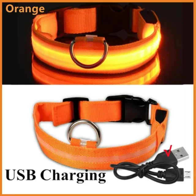 Luvikno | LUXPETS GlowSafe LED Hundekrage | Belyst & Oppladbar | Justerbar & Vanntett | Antitap på Natt