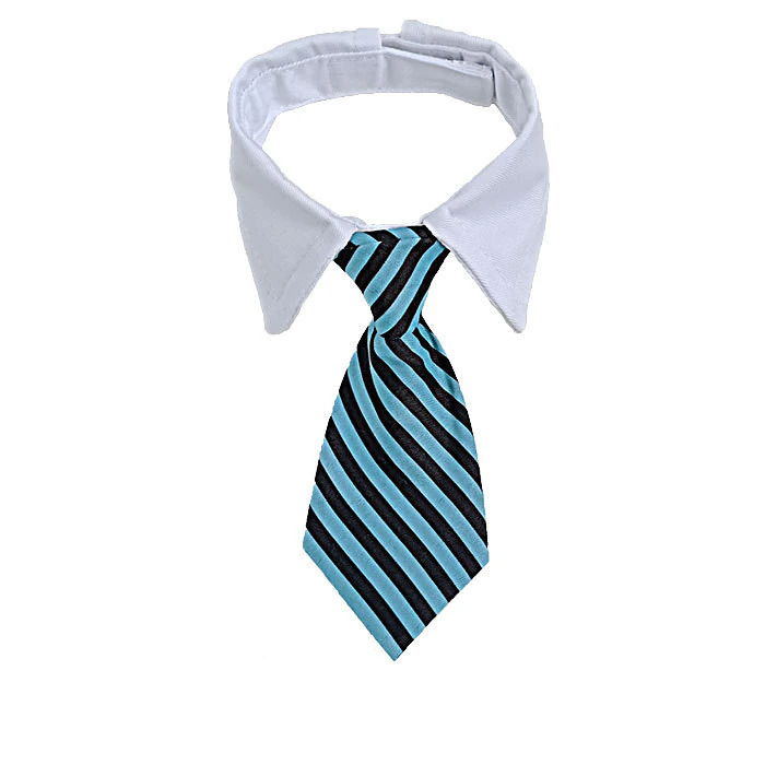 Sugar & Cotton's Famous Pet Neckties | Luvikno