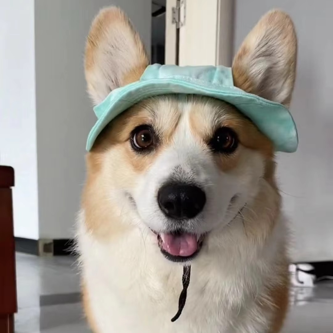 Chic Pet Sun Hat - Lettvekts og stilfull solbeskyttelse for hunder og katter Luvikno