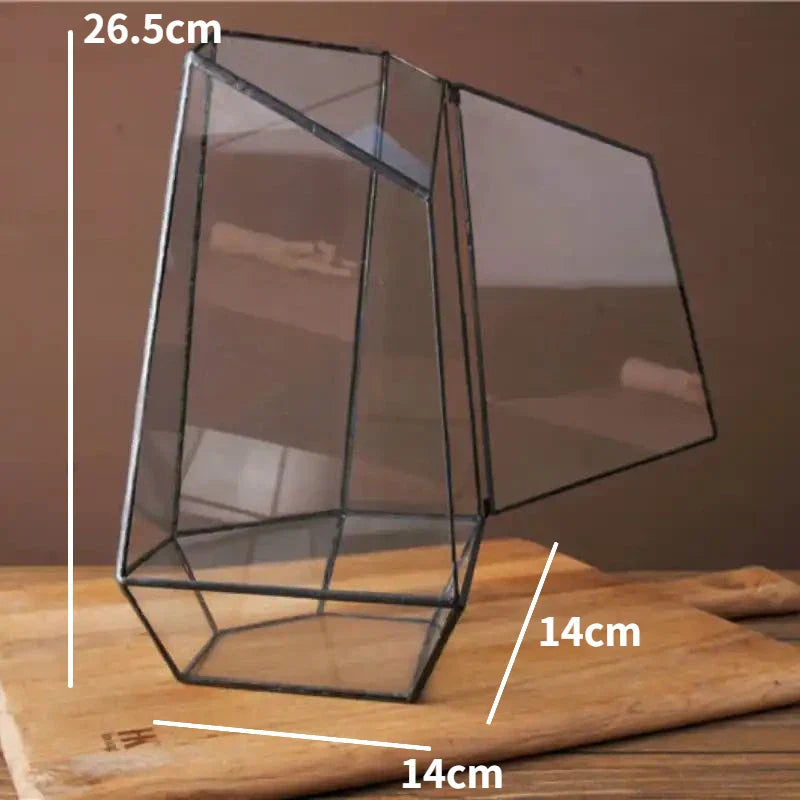 Moderne Geometriske Natur-Inspirerte Botaniske Terrarium | Luvikno