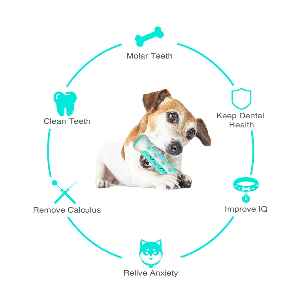 Luvikno | ChewCare Pro Dog Toothbrush-Ball | Interactive Chew Toy Stick for Large and Medium Dogs | Tooth Cleaning and Stress Reduction