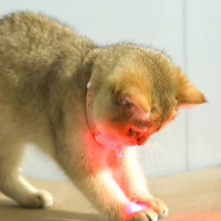 Freesthetic Laser Collar for Cats Luvikno