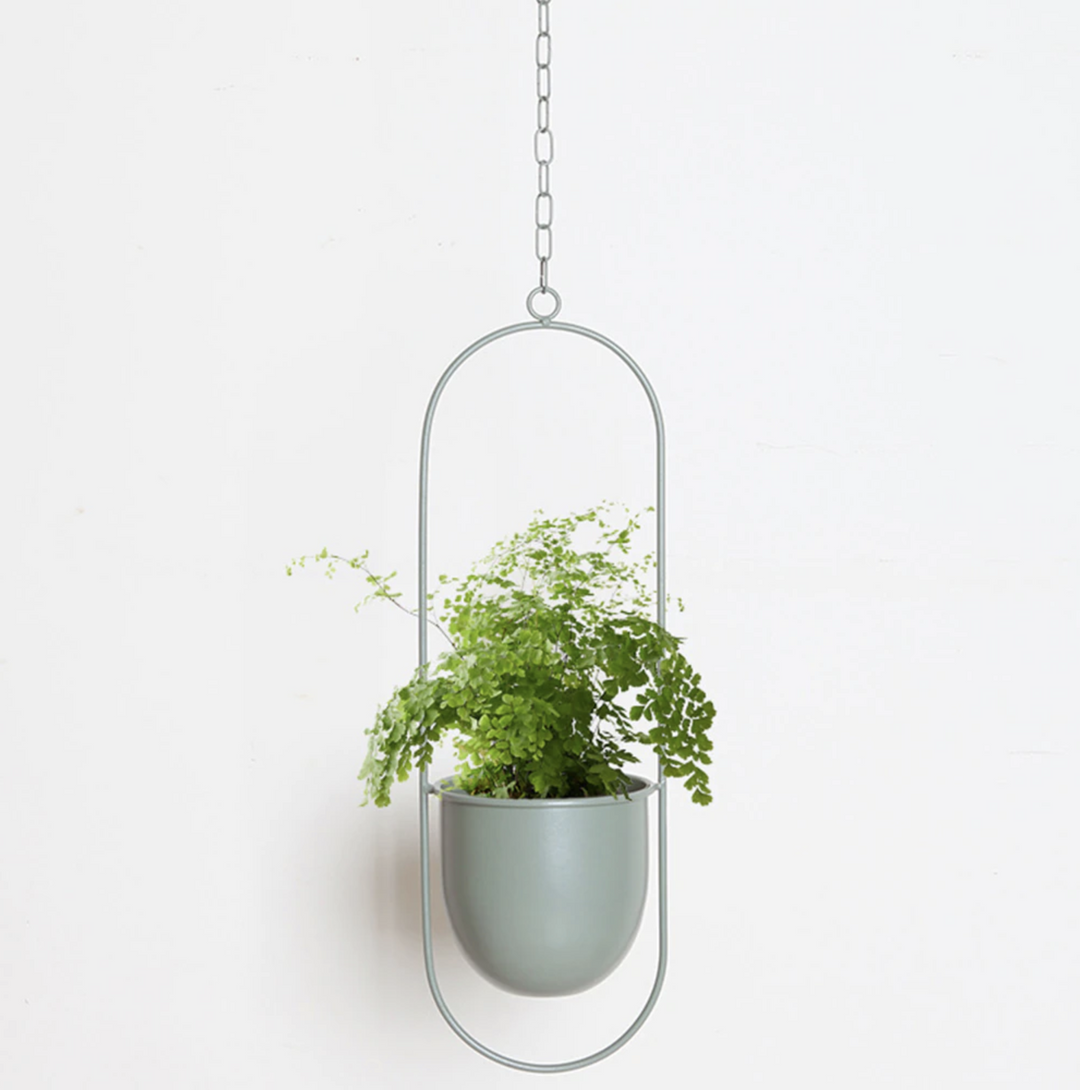 Luvikno | FloraFrame – Elegant Metallplanteholder for Vegg eller Tak