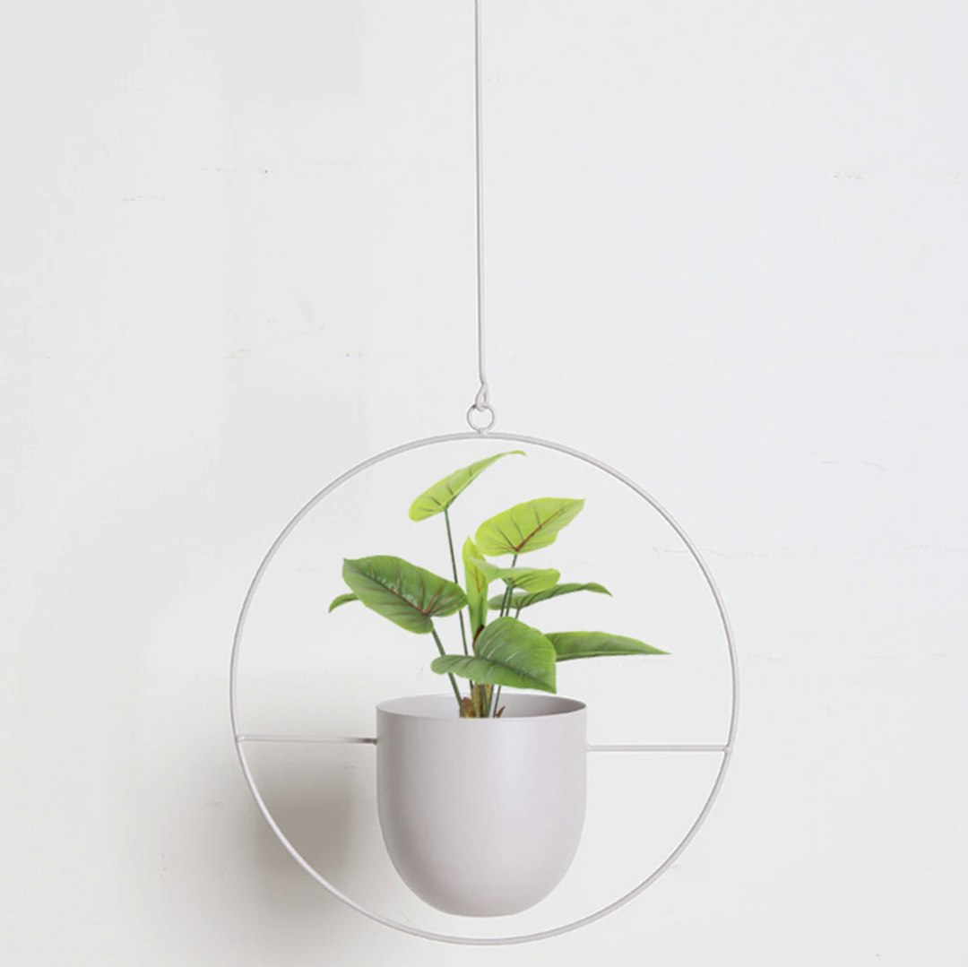 Luvikno | FloraFrame – Elegant metallplanteholder for vegg eller tak