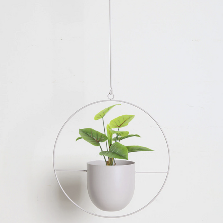 Luvikno | FloraFrame – Elegant Metallplanteholder for Vegg eller Tak