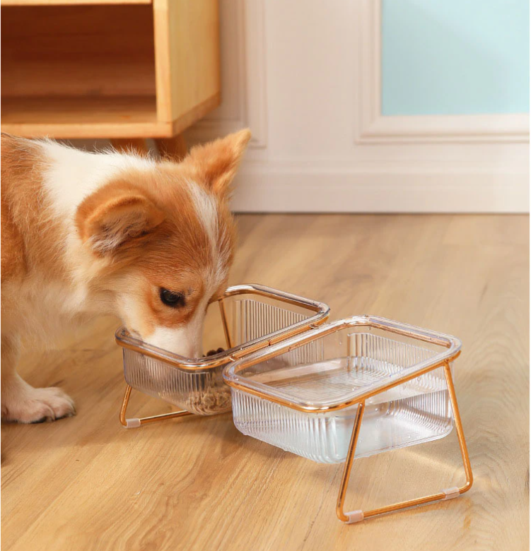 Trendy Feeder for Stylish Animals Luvikno