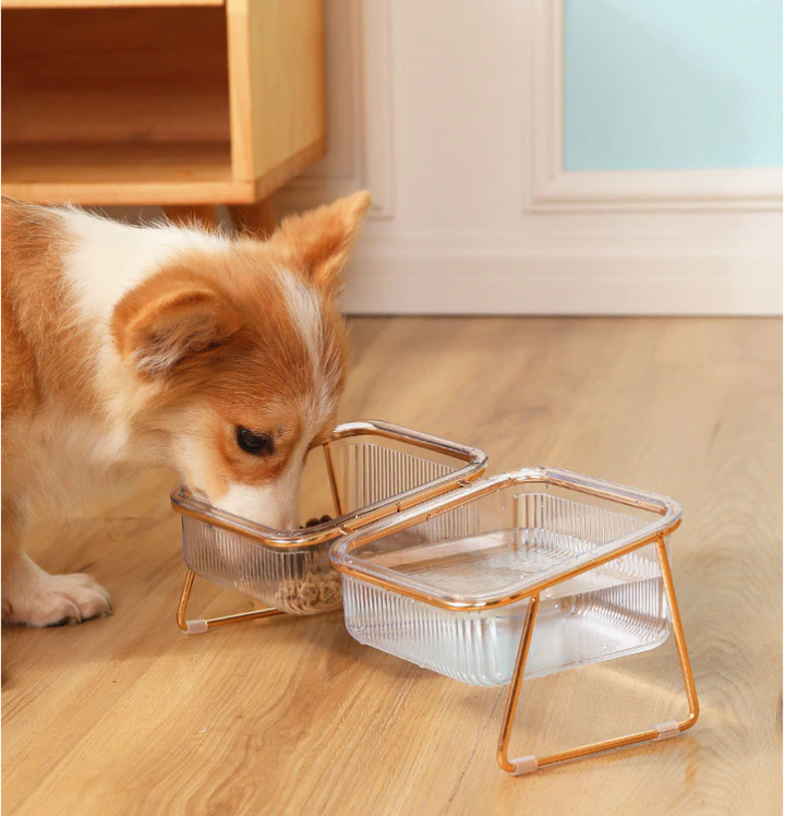 Trendy Feeder for Stylish Animals Luvikno