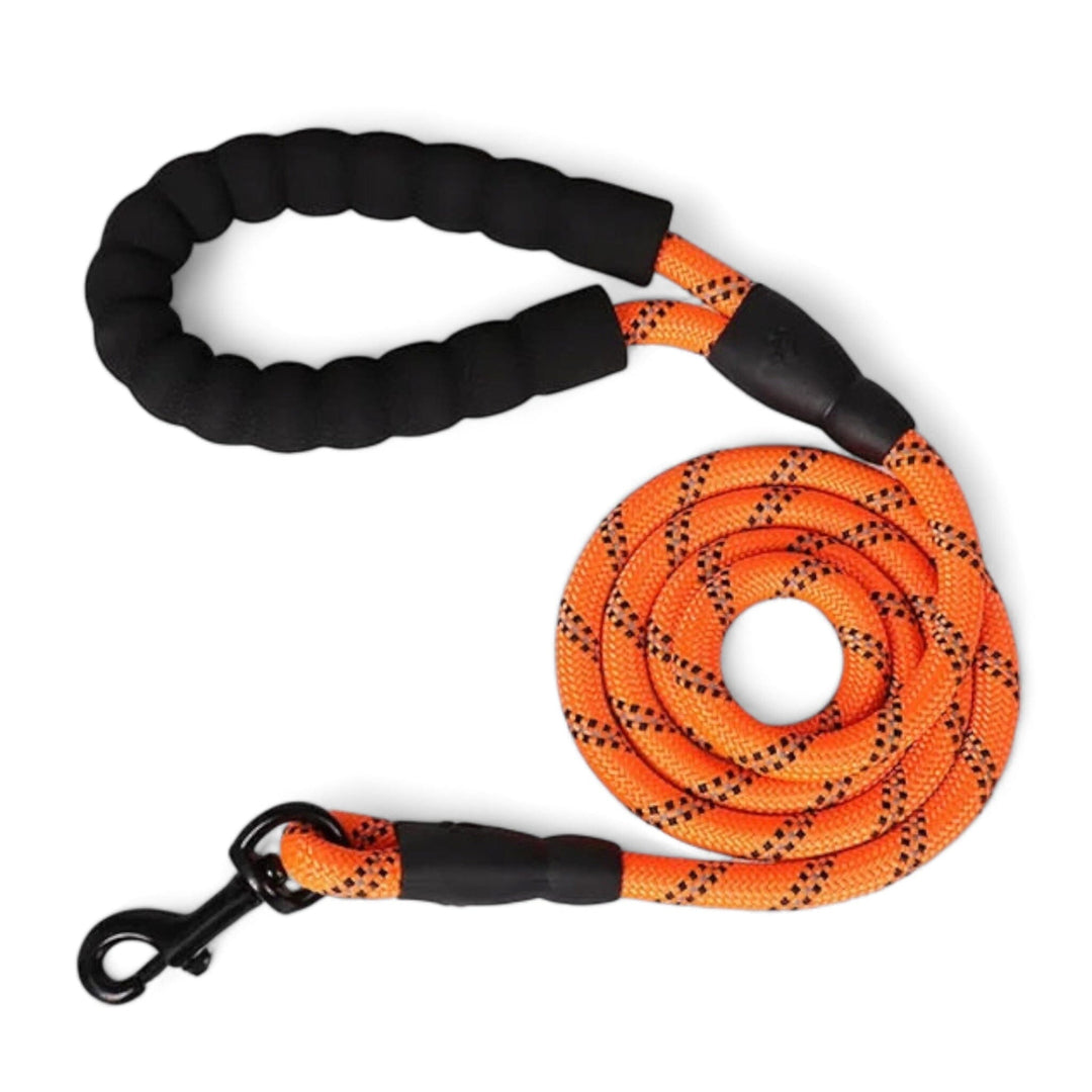 Luvikno Pully