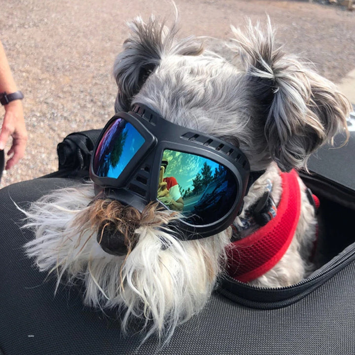 Luvikno Shadow Dog Goggles