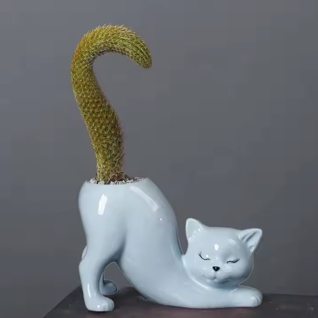 Søt katt blomsterpotte - Glasert porselen saftig planter | Luvikno