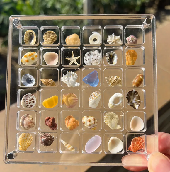 Acrylic Treasure Keeper | Stilfull lagring av din havsamling | Luvikno