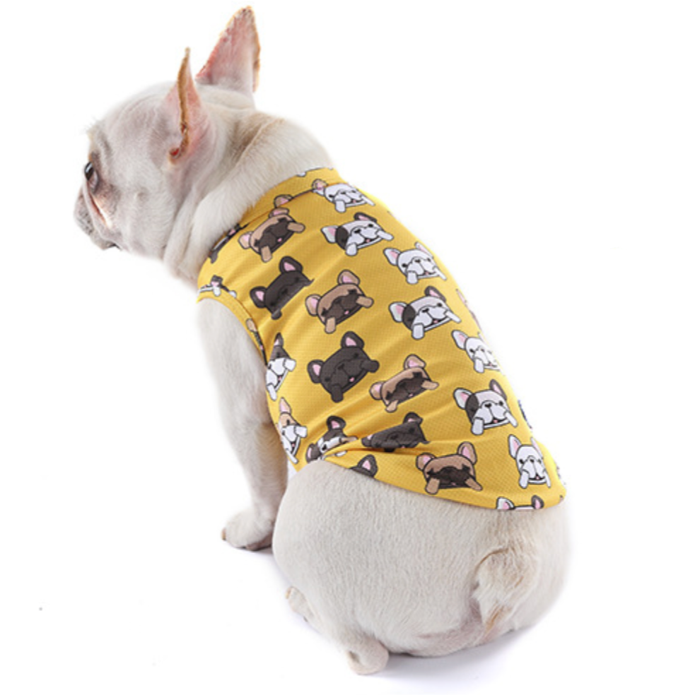Coolify™: Sommer Kjølevest (CS17) | Luvikno