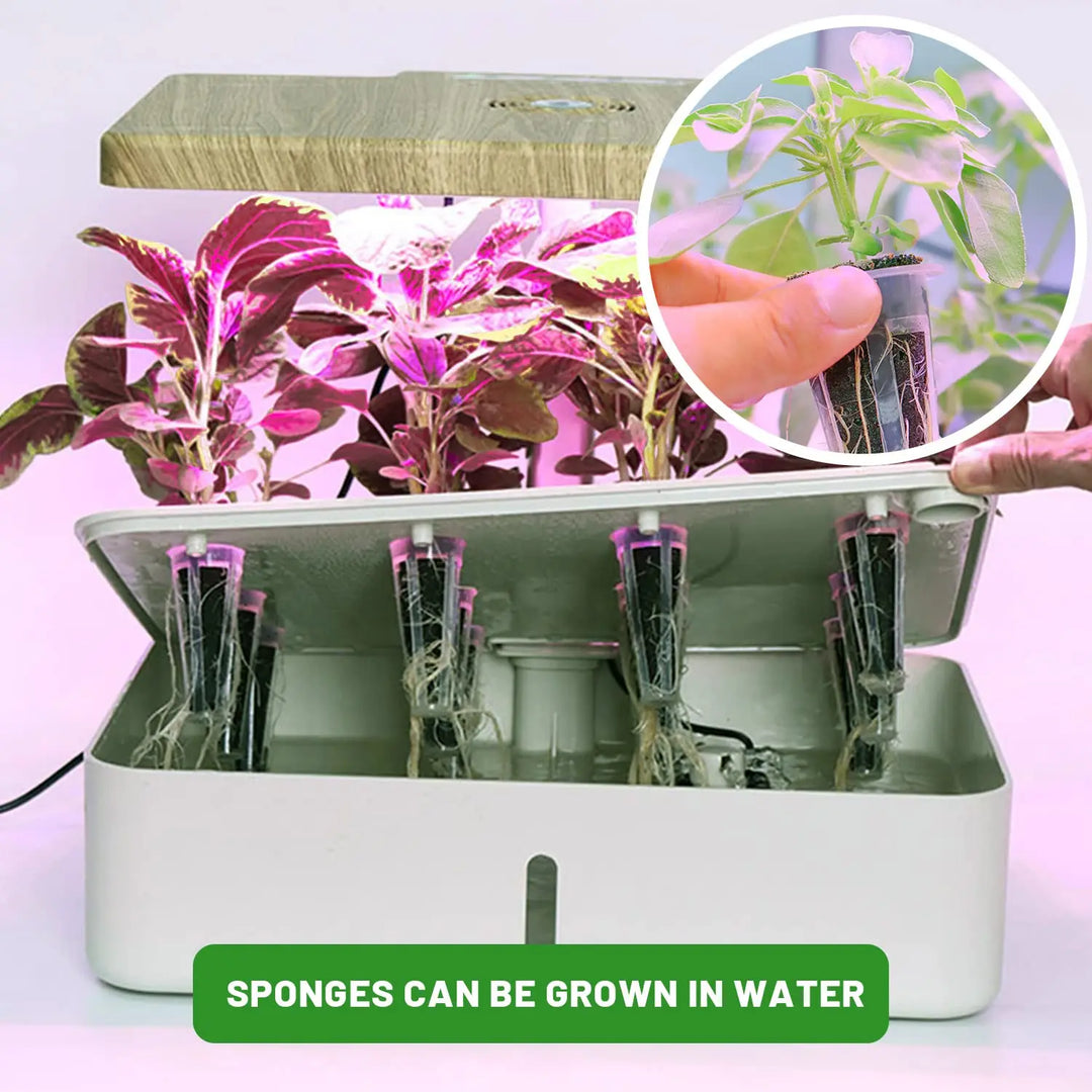 Luvikno | WurzelWunder Planting Svamper 50 Stykker | Erstatningsvekstsvamper for Hydrokultur og Jord | For Urter, Grønnsaker og Blomster