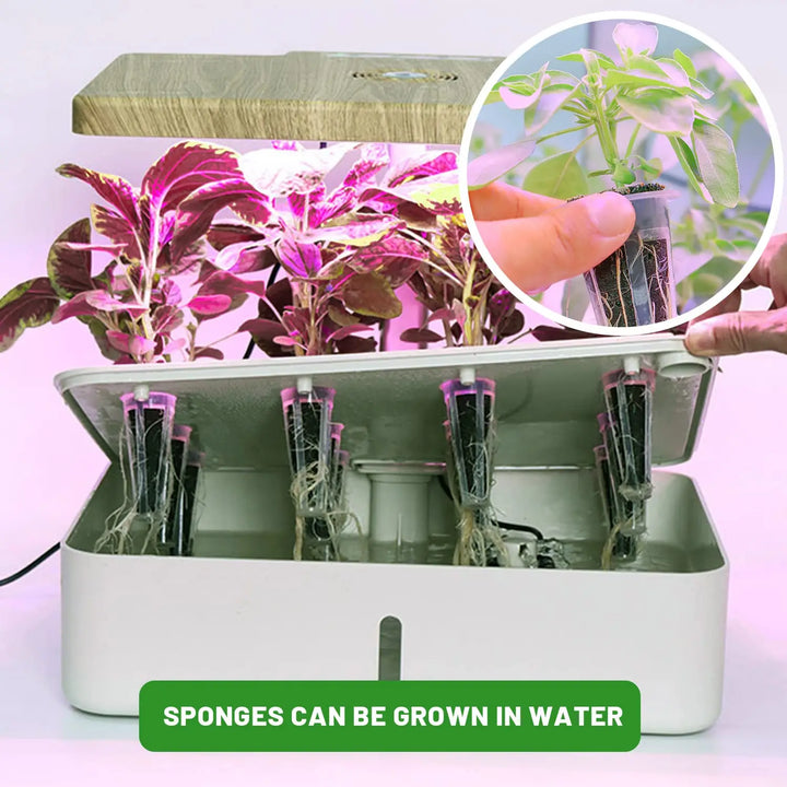 Luvikno | WurzelWunder Planting Svamper 50 Stykker | Erstatningsvekstsvamper for Hydrokultur og Jord | For Urter, Grønnsaker og Blomster