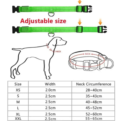 Luvikno | LUXPETS GlowSafe LED Hundekrage | Belyst & Oppladbar | Justerbar & Vanntett | Antitap på Natt