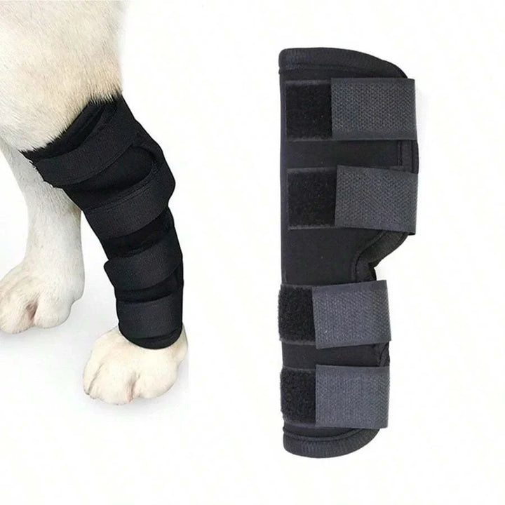 Felles støtte for hunder stabilisering & beskyttelse Luvikno