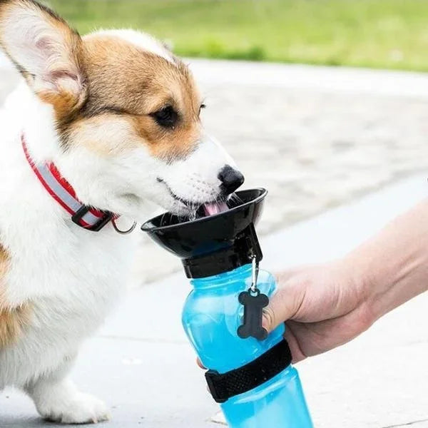Luvikno | Hund Vannflaske HydroPaws | 2-i-1 med Skål | Lekkasjesikker & Bærbar | 500ml | Blå, Rosa, Grå
