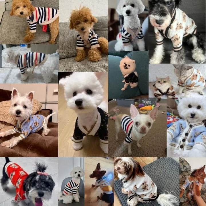Hundekardigan laget av strikket varmt og stripet Luvikno
