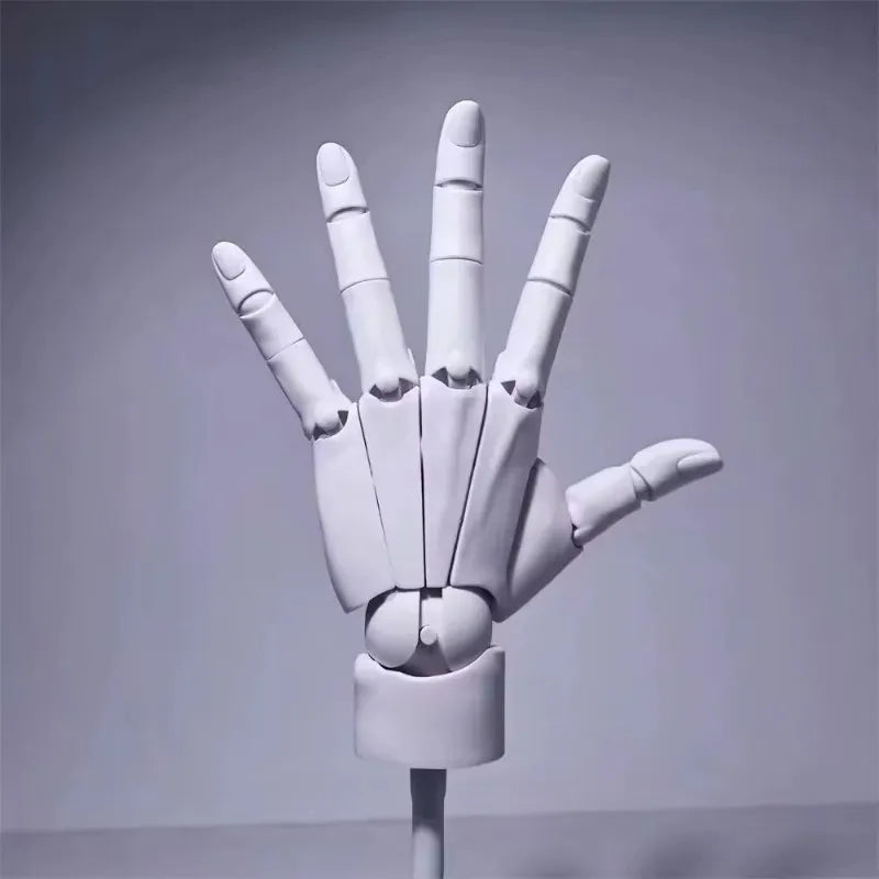 Multi-Pose Tegning Skulptur Kunst Hånd Modell | Luvikno