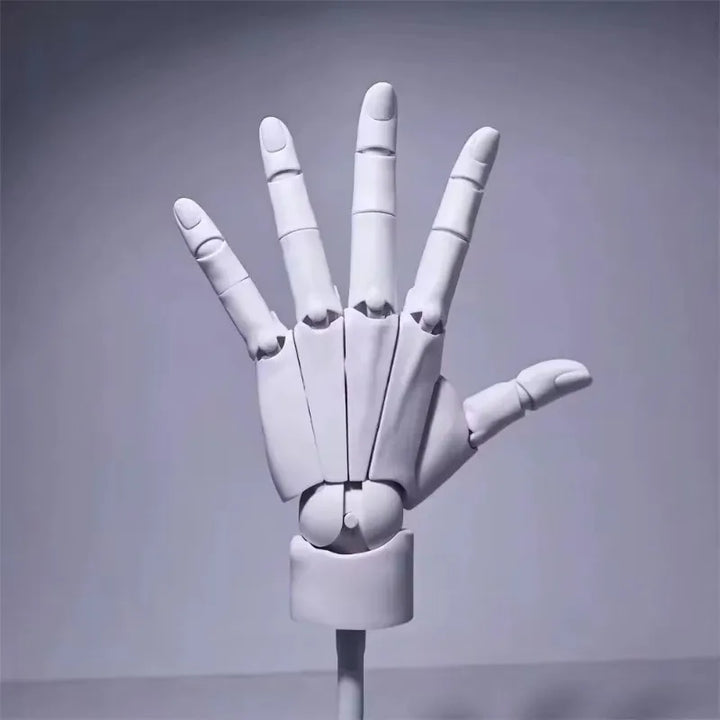 Multi-Pose Tegning Skulptur Kunst Hånd Modell | Luvikno