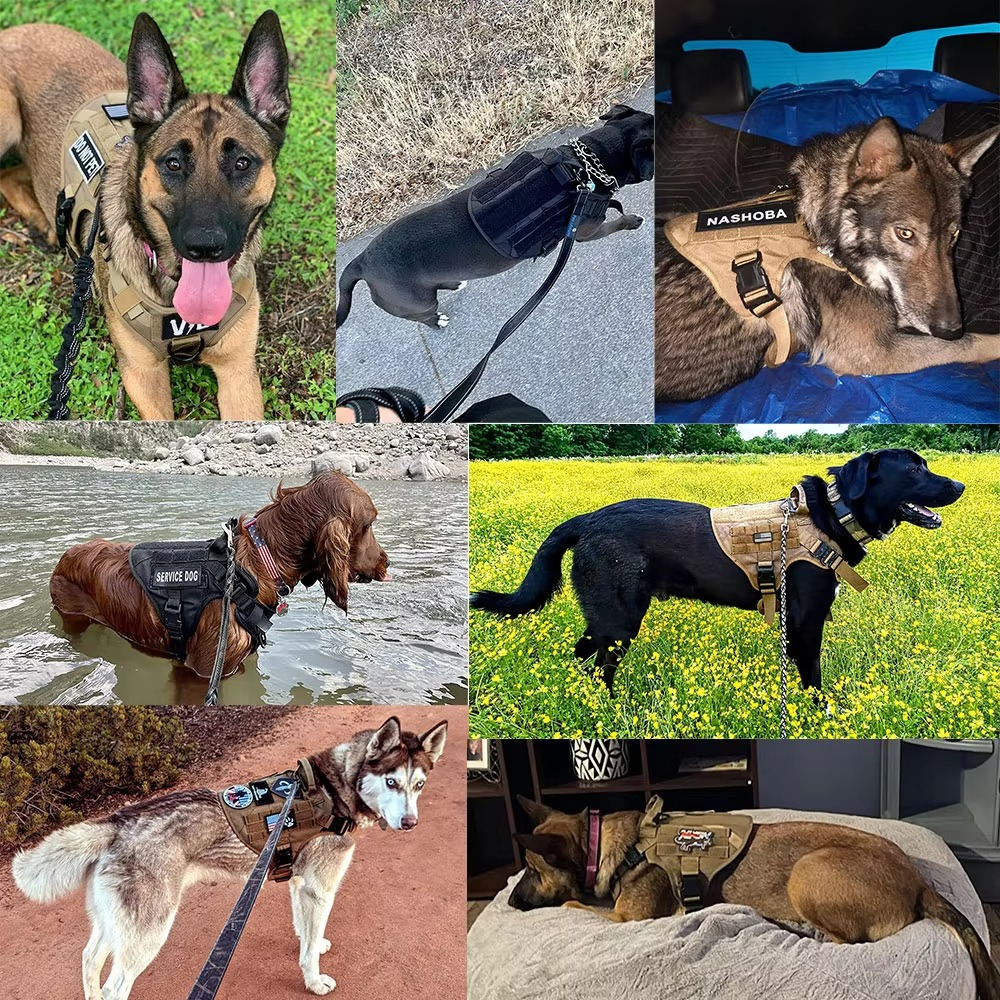 Taktisk hundesele og båndsett for mellomstore og store hunder Luvikno