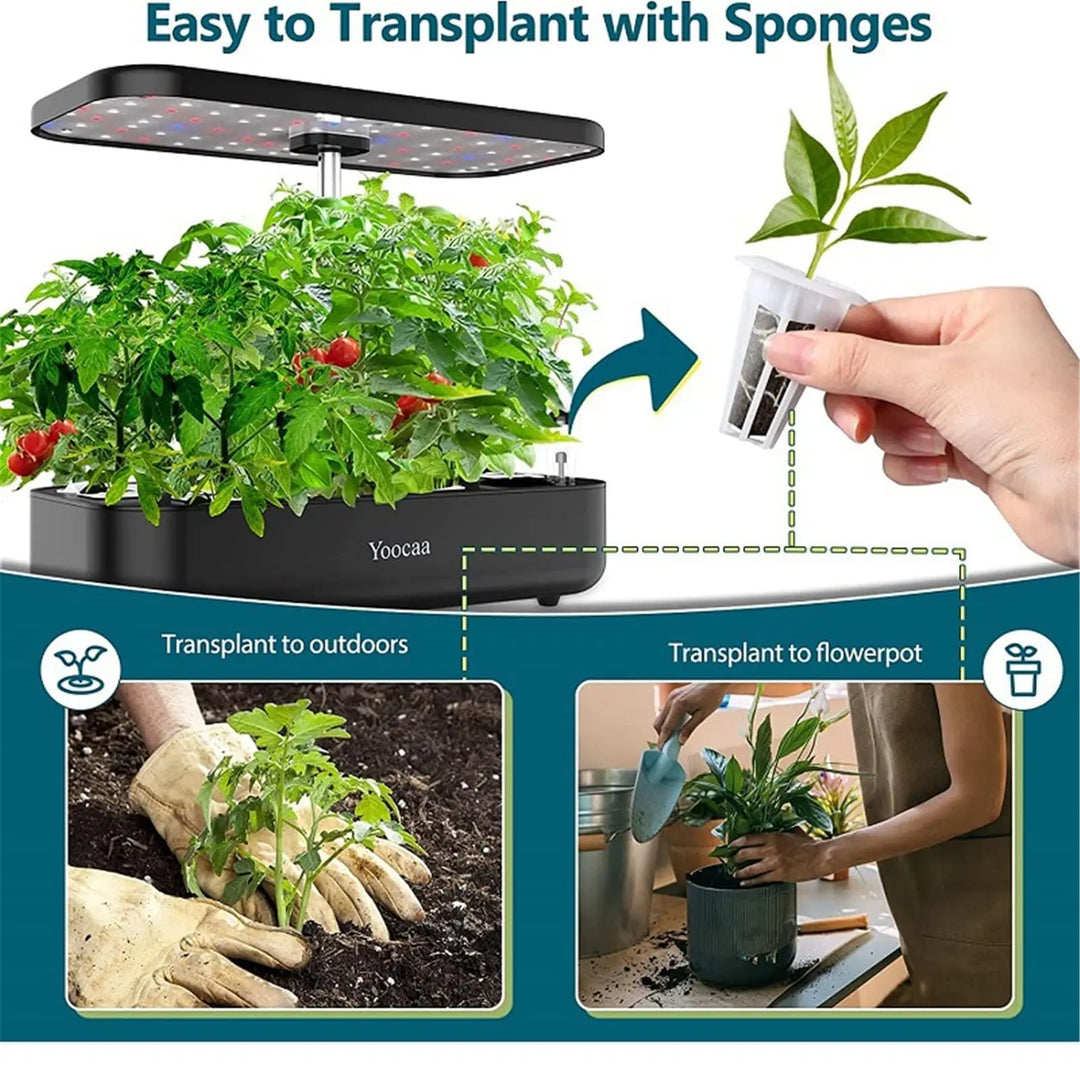 Luvikno | HydroLeaf Hydroponics Startset 120 deler | Med kurver, svamper og deksler | For innendørs hagearbeid og dyrking