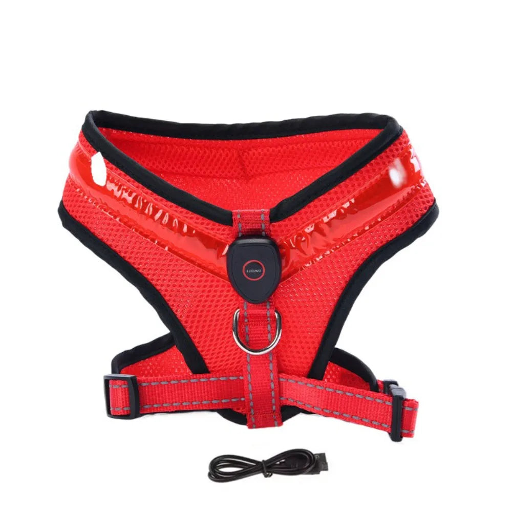 LED Hundesele USB oppladbar og justerbar Luvikno