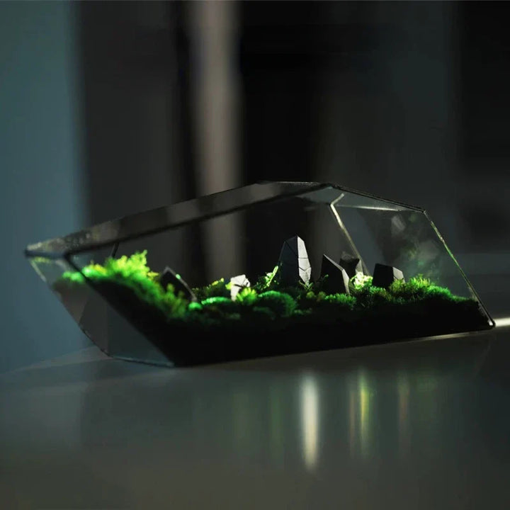 Geometrisk Glass Moss Plante Terrarium Vase | Luvikno