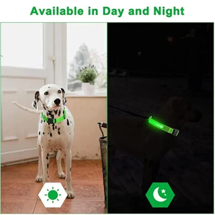 Luvikno | LUXPETS GlowSafe LED Hundekrage | Belyst & Oppladbar | Justerbar & Vanntett | Antitap på Natt