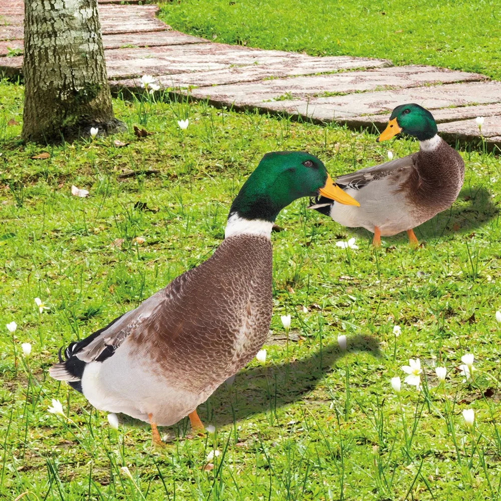 DuoDuck Realistisk Dobbelsidig Grå Fjær Skulptur Luvikno