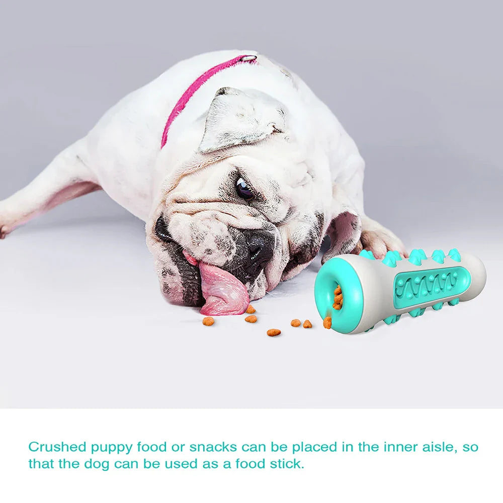 Luvikno | ChewCare Pro Dog Toothbrush-Ball | Interactive Chew Toy Stick for Large and Medium Dogs | Tooth Cleaning and Stress Reduction