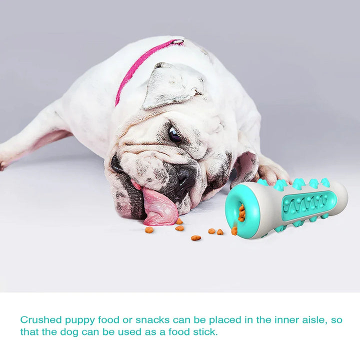 Luvikno | ChewCare Pro Dog Toothbrush-Ball | Interactive Chew Toy Stick for Large and Medium Dogs | Tooth Cleaning and Stress Reduction
