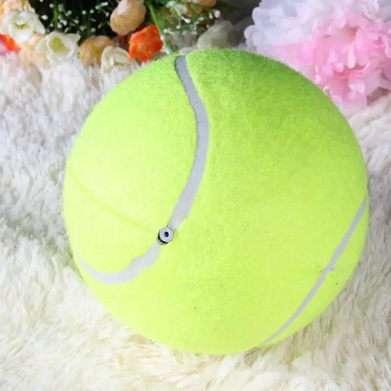 Ekstra stor tennisball for hunder Luvikno