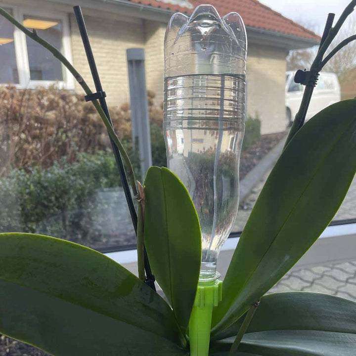 Selvvannende for potteplanter / senger - Pakke med 6 stk. | Luvikno
