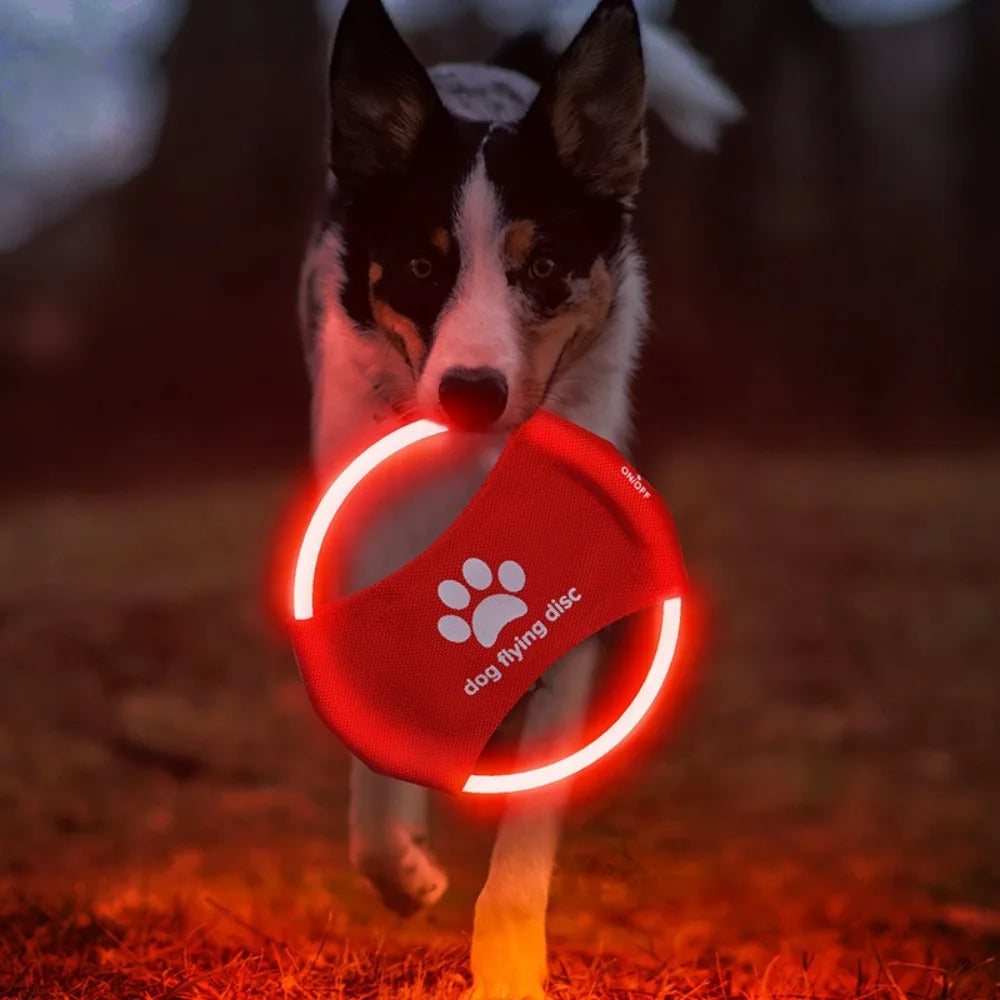 LED Frisbee for dogs oppladbar og vanntett Luvikno