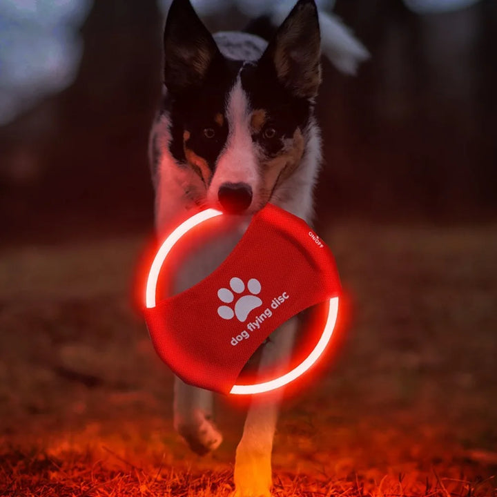 LED Frisbee for dogs oppladbar og vanntett Luvikno