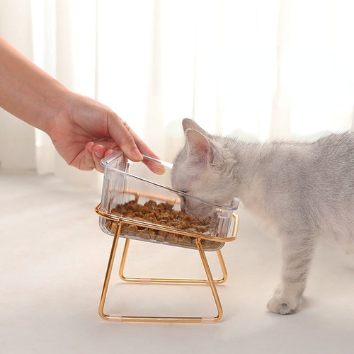Trendy Feeder for Stylish Animals Luvikno