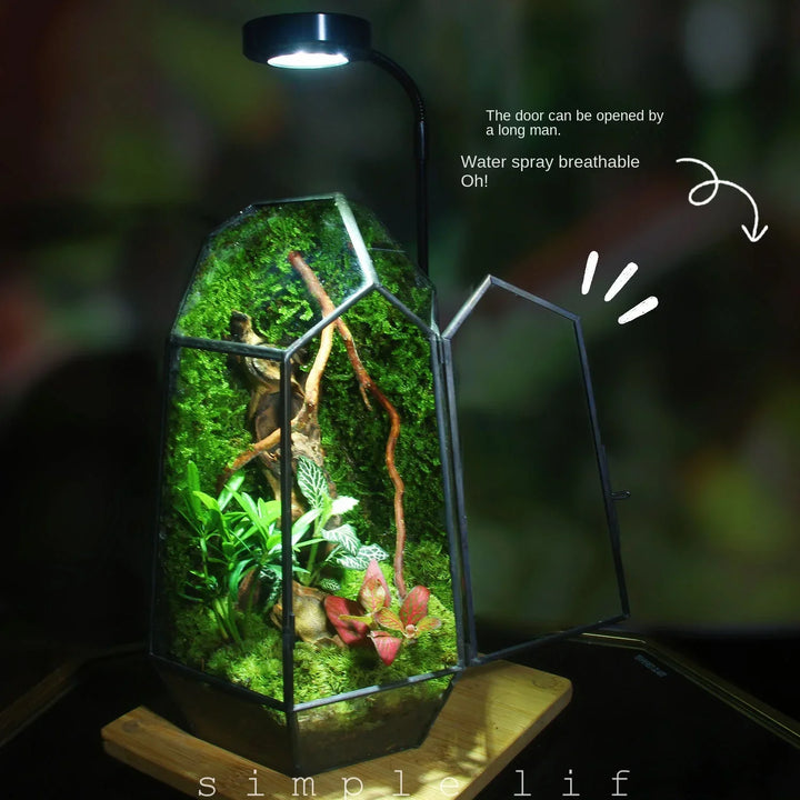 Moderne Geometriske Natur-Inspirerte Botaniske Terrarium | Luvikno