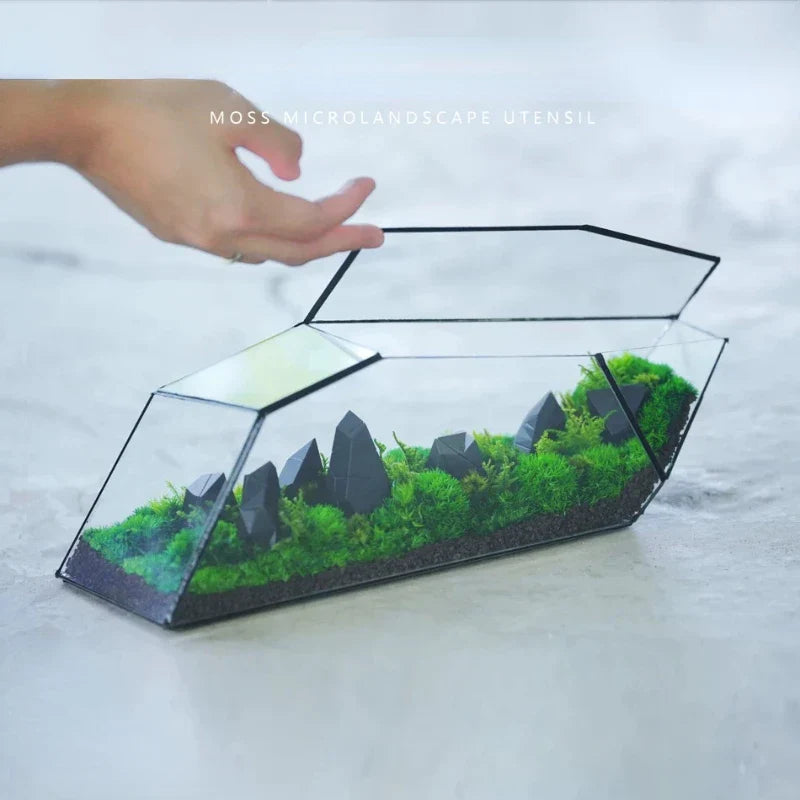 Geometrisk Glass Moss Plante Terrarium Vase | Luvikno